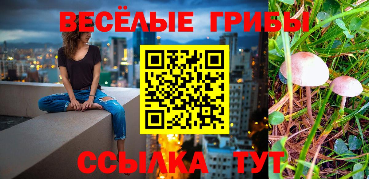Галлюциногенные грибы Cubensis  Вход с VPN  Белово 