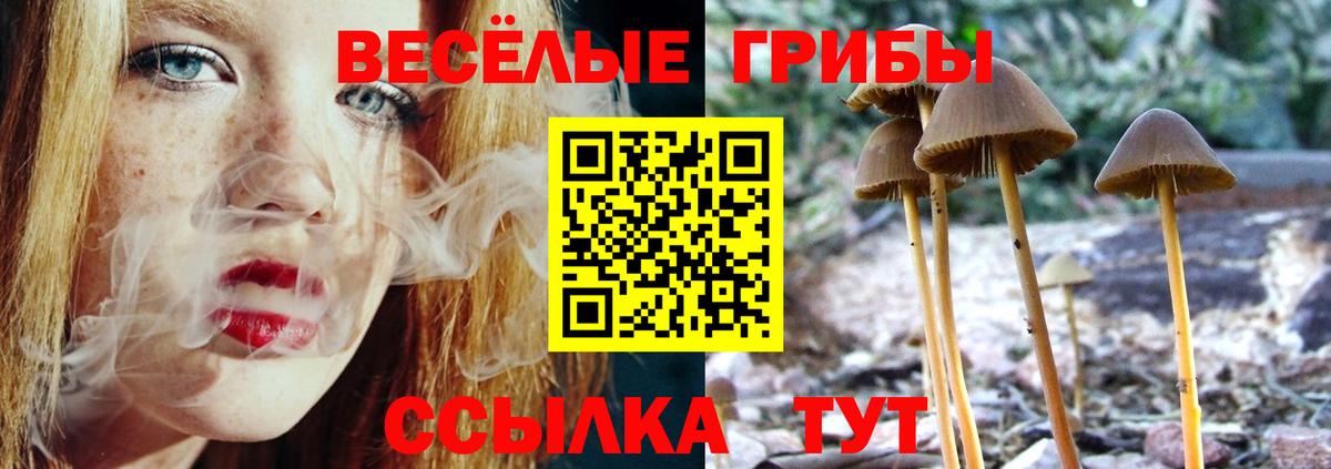 Галлюциногенные грибы мицелий Белово
